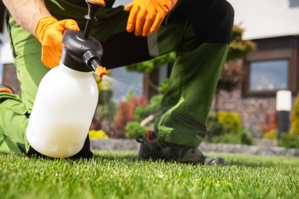 Pest Prevention Services in Burtonsville, MD