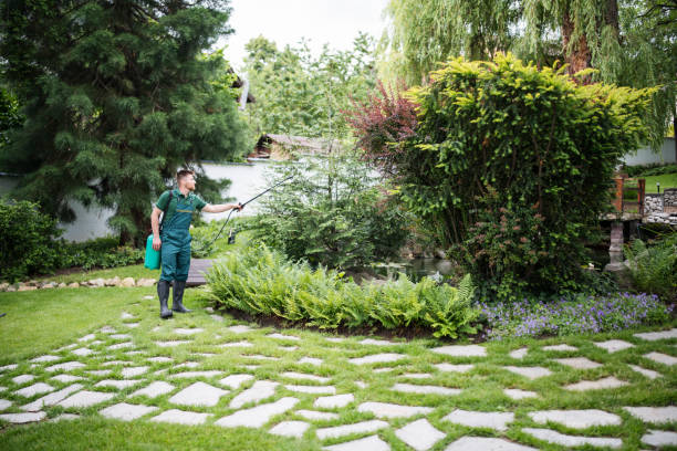 Best Pest Removal Services  in Burtonsville, MD