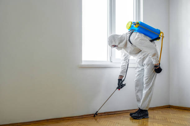 Best Exterminator Services  in Burtonsville, MD