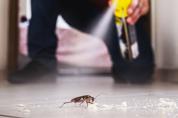 Best Pest Prevention Services  in Burtonsville, MD