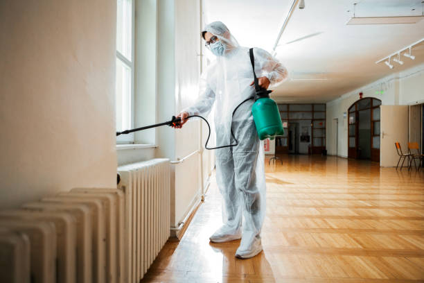 Best Bed Bug Extermination  in Burtonsville, MD
